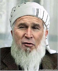 bush