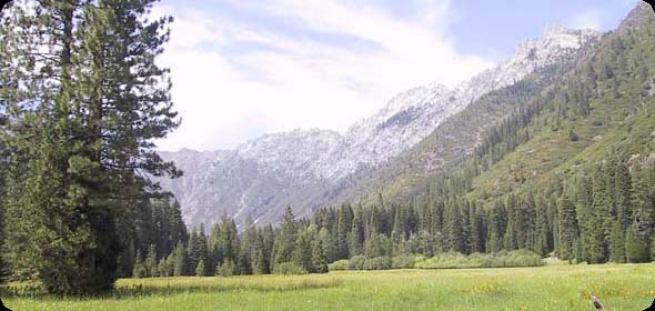 trinityalps